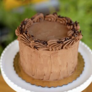 Classic Chocolate *V *GF