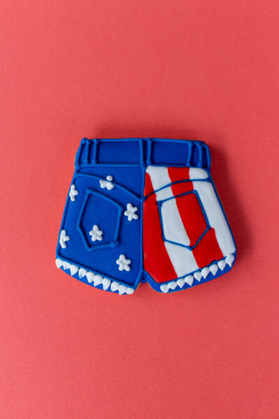 Patriotic Cookie Set - Image 2