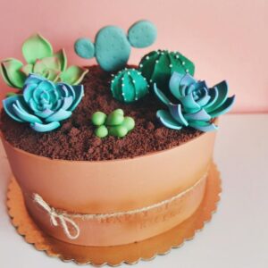 Potted Suculent Cake
