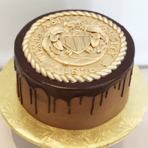 A&M Seal Cake