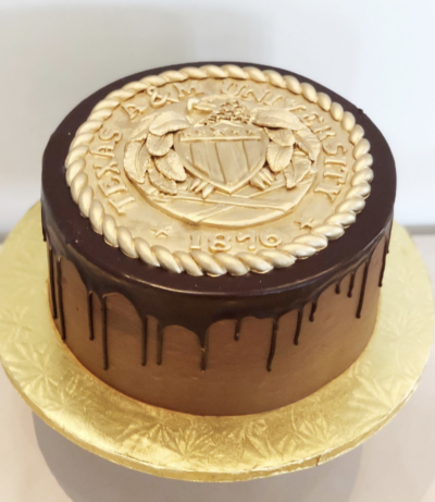 A&M Seal Cake