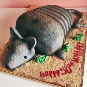 Armadillo Cake
