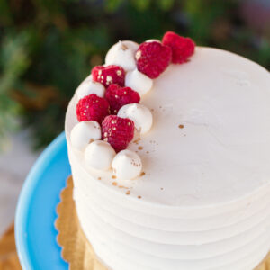 Vanilla Raspberry Chocolate Cake *V *GF